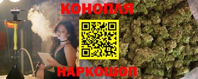 дживик Будённовск