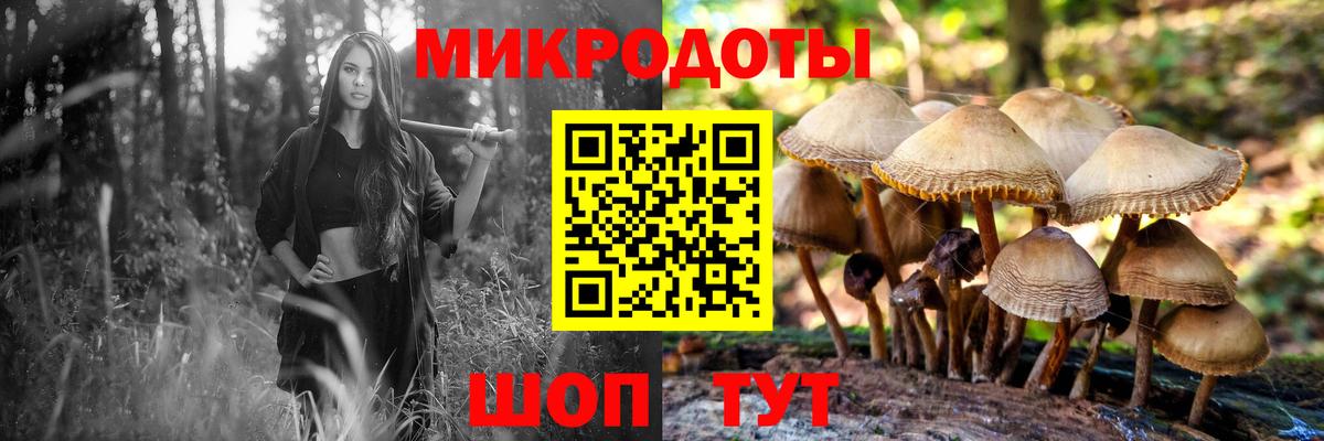 Старый Оскол  что такое   Вход с VPN  Галлюциногенные грибы Psilocybine cubensis 